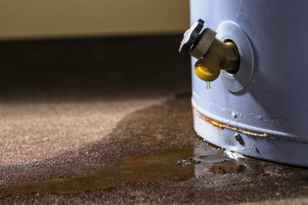 Best Basement water damage restoration  in Ida Grove, IA