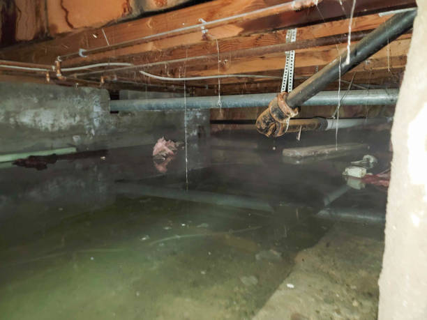 Best Residential water damage restoration  in Ida Grove, IA