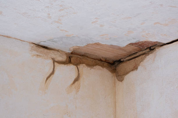 Best Water damage restoration near me  in Ida Grove, IA