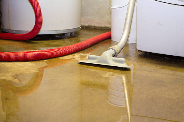 Best Water damage cleanup near me  in Ida Grove, IA