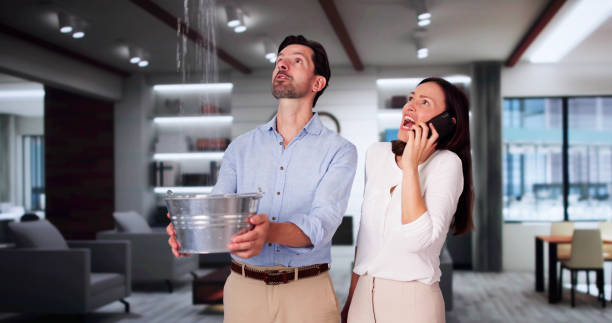 Best Local water damage restoration  in Ida Grove, IA