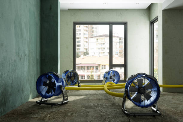 Best Flood restoration services  in Ida Grove, IA